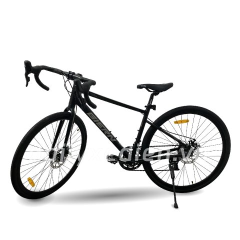 Xe đạp thể thao RG200
