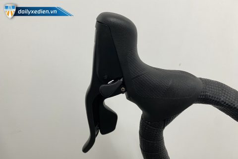 Ảnh 12