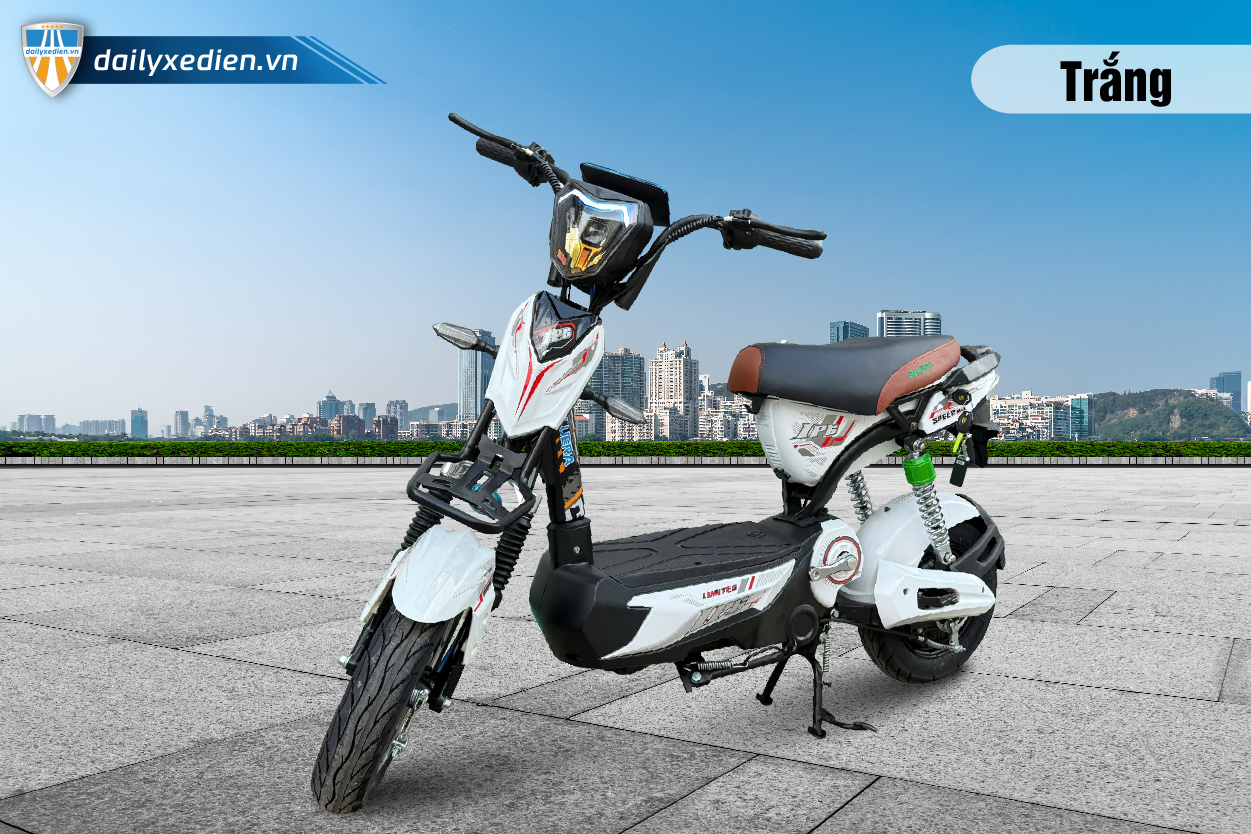 Xe đạp thể thao M11