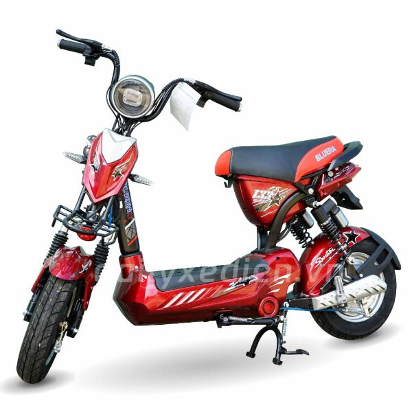 Xe đạp điện Bluera 133 Pro
