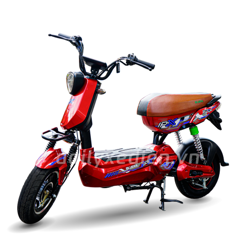 Xe đạp điện Bluera IPXs