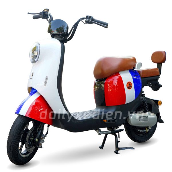 Xe đạp điện Sarune M16 Z1